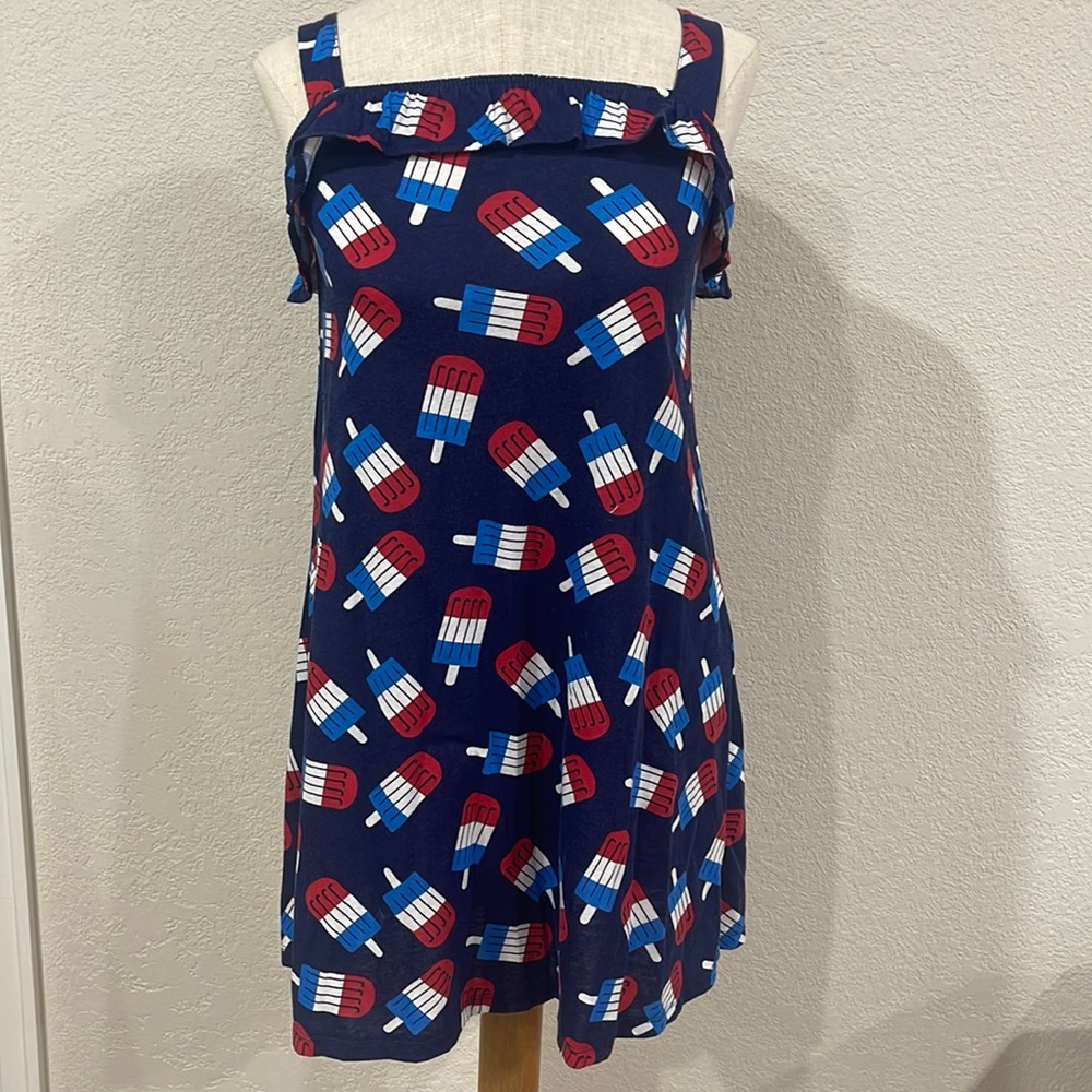 Girls patriot 4th of July Dress size 10/12